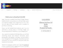 Tablet Screenshot of koehlercolor.com